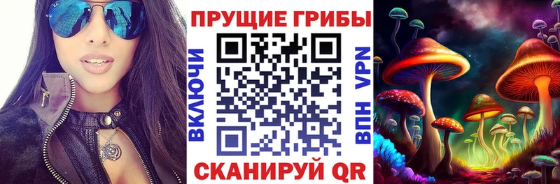 Псилоцибиновые грибы MAGIC MUSHROOMS  как найти   Сим 